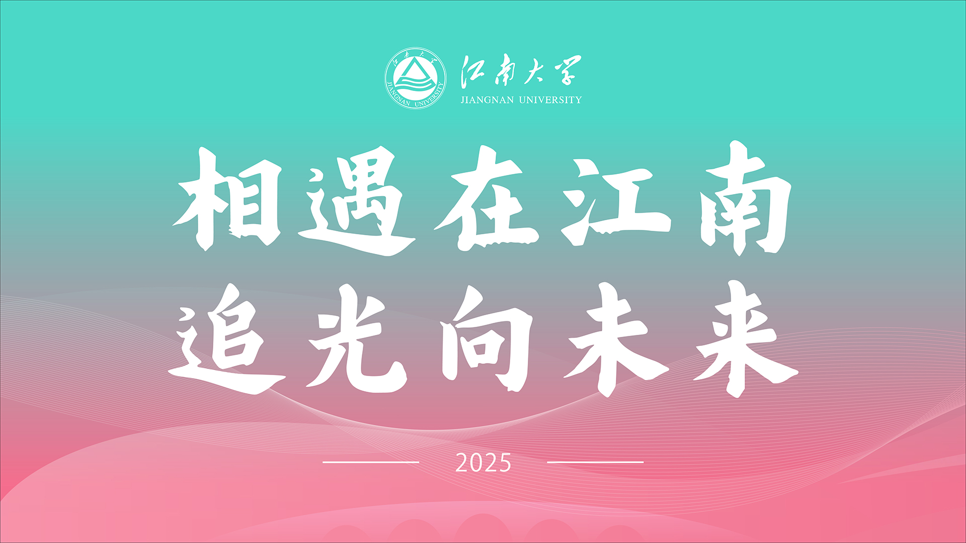 97国内精品久久久久不卡