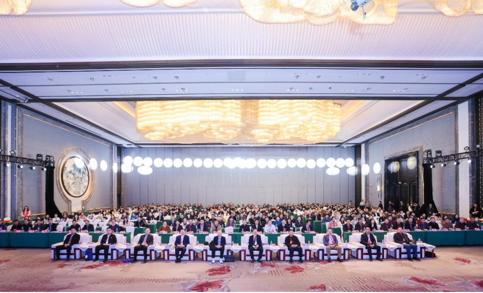 97国内精品久久久久不卡