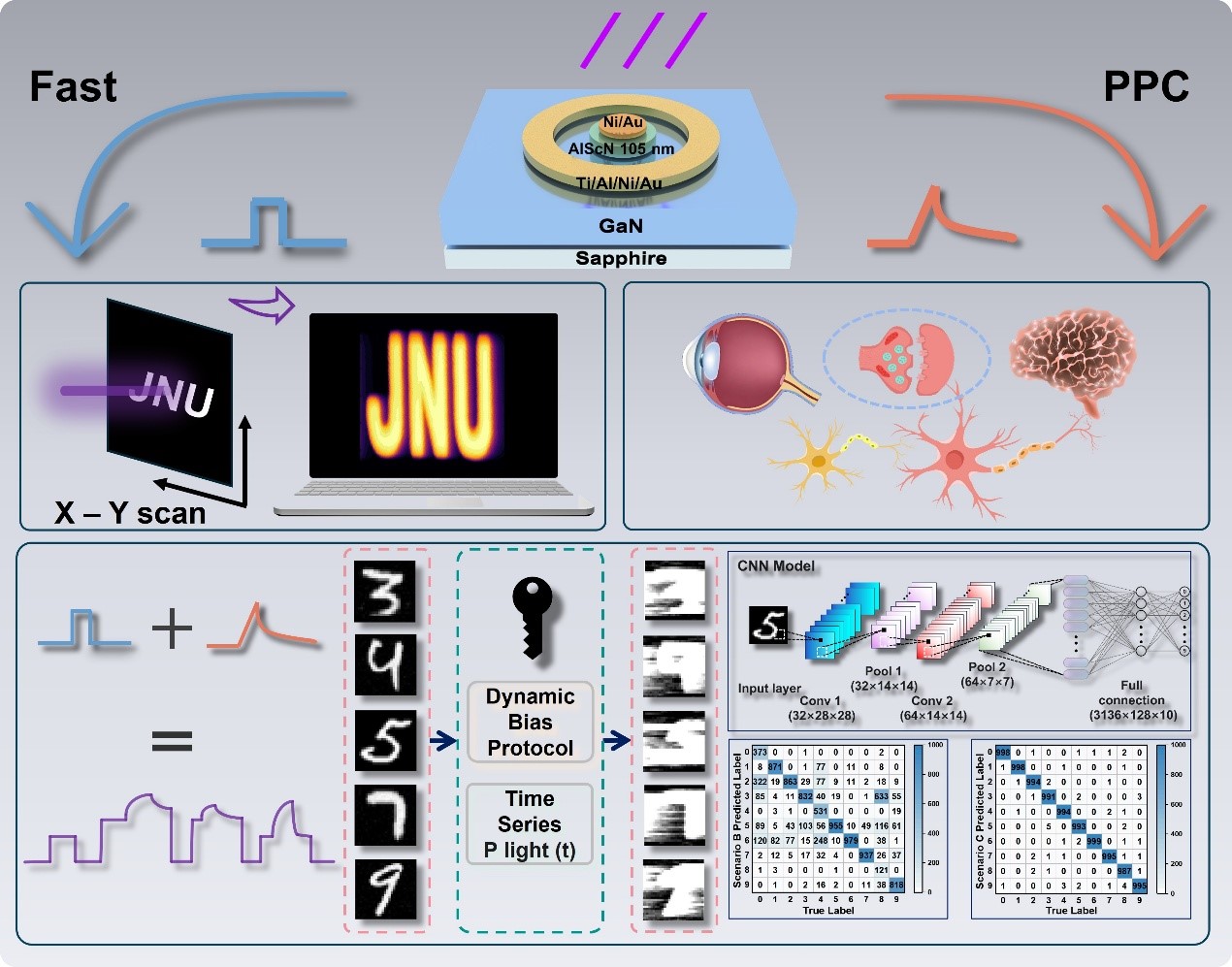 97国内精品久久久久不卡