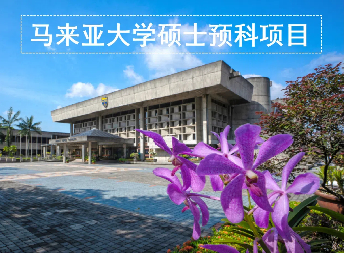 97国内精品久久久久不卡