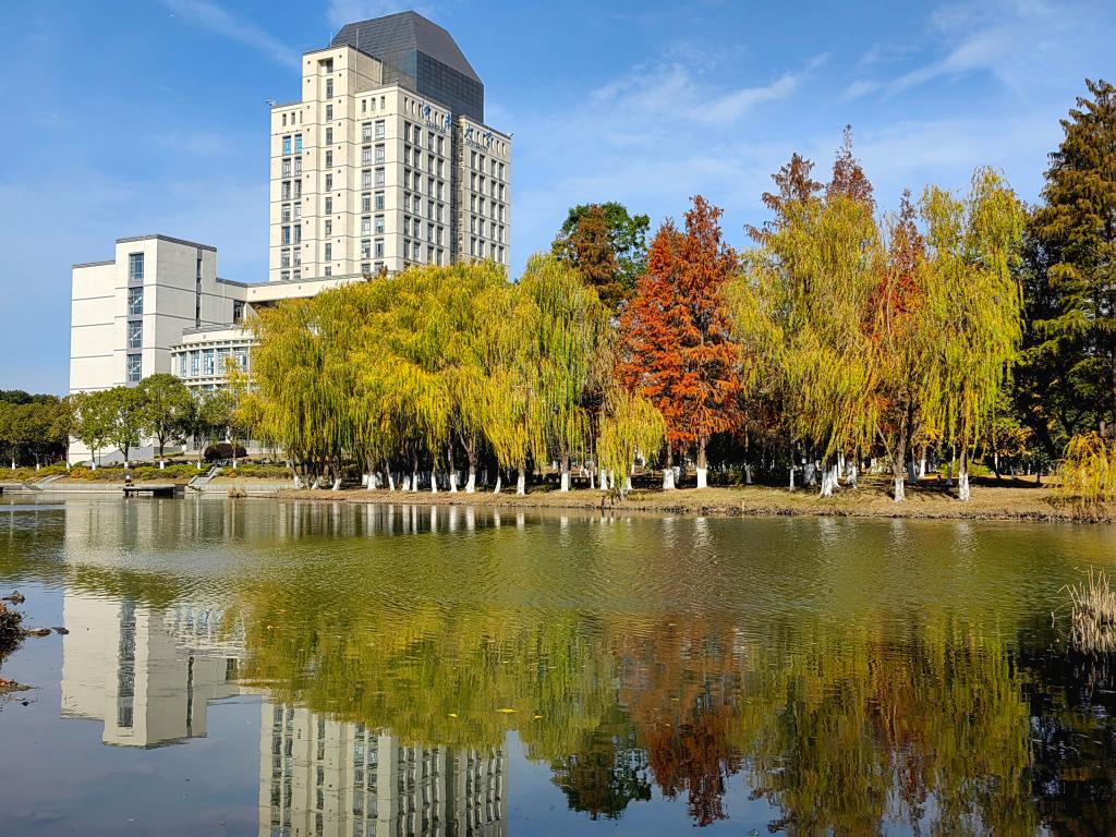 97国内精品久久久久不卡