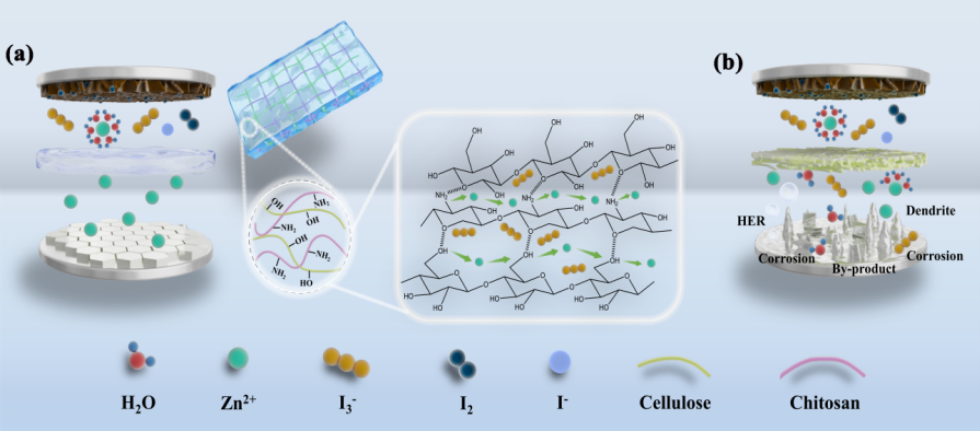 97国内精品久久久久不卡