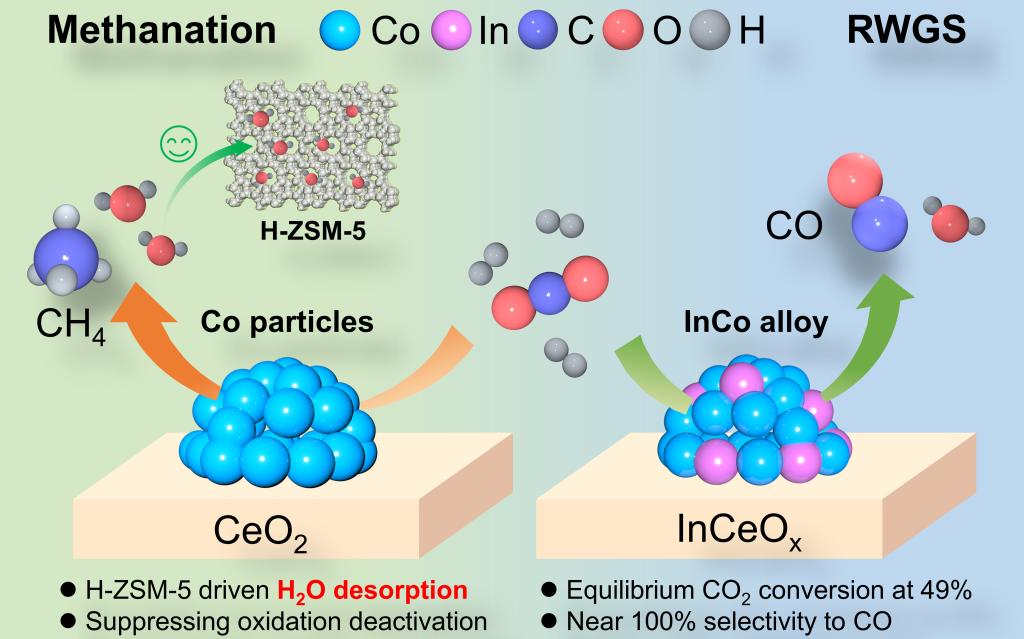 97国内精品久久久久不卡