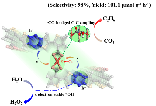 97国内精品久久久久不卡