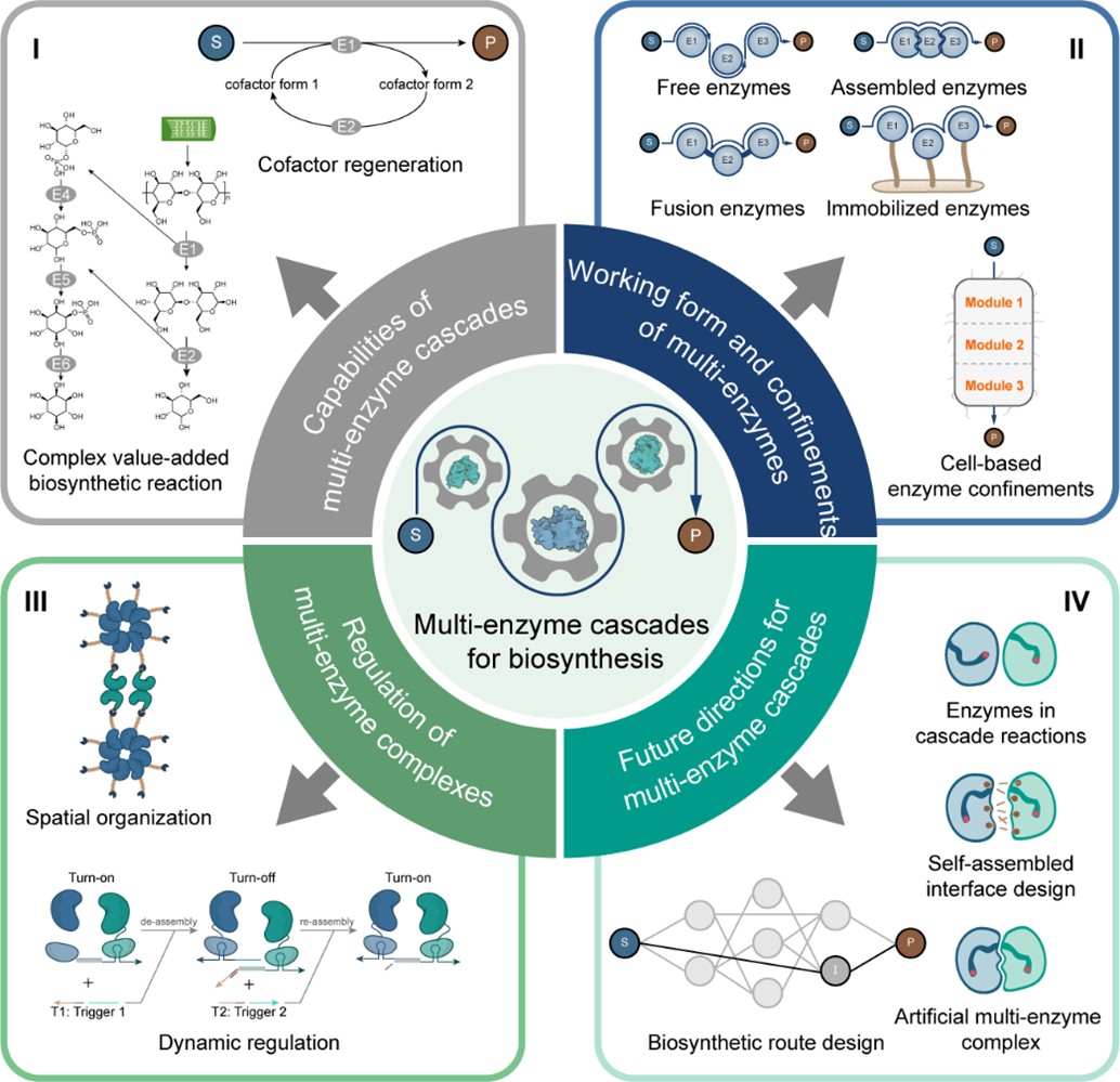 97国内精品久久久久不卡