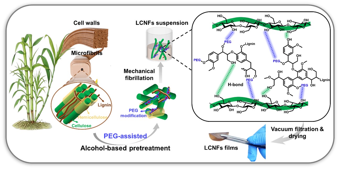 97国内精品久久久久不卡