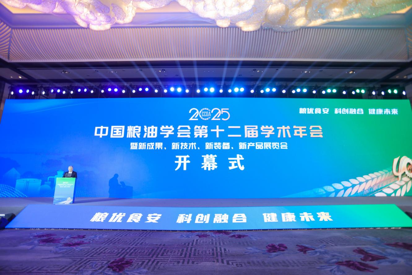 97国内精品久久久久不卡