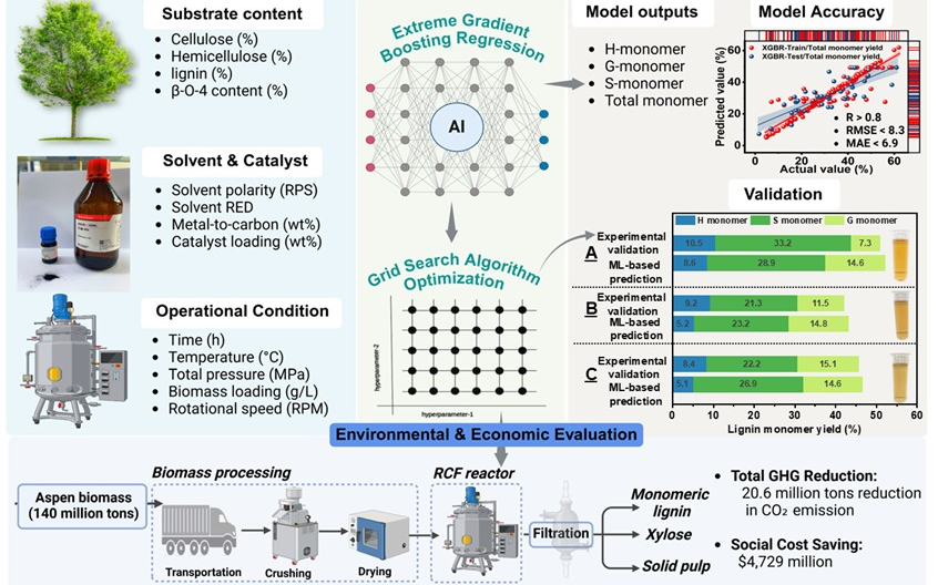 97国内精品久久久久不卡