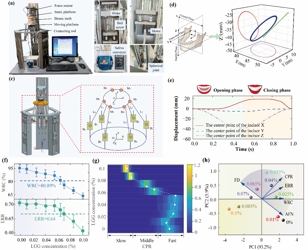 97国内精品久久久久不卡