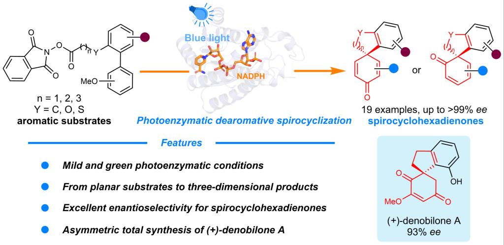97国内精品久久久久不卡